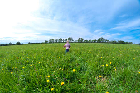 boy searches for bug in herb on meadow with dandelionの写真素材