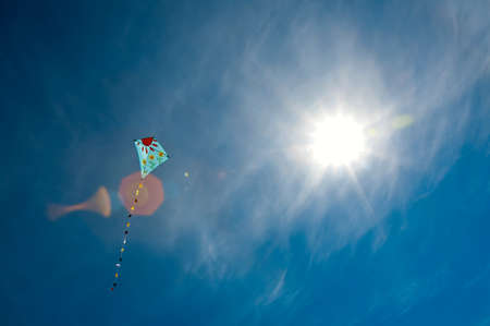 Kite in sky.image with clear blue sky also availablの写真素材