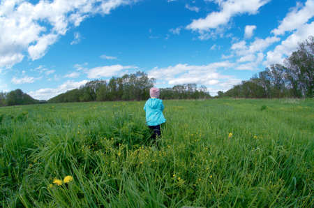 small girl  on meadow with dandelion