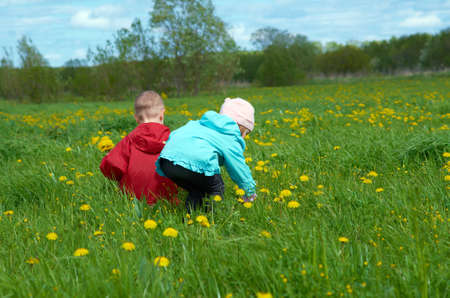 boy and small girl  on meadow with dandelionの写真素材