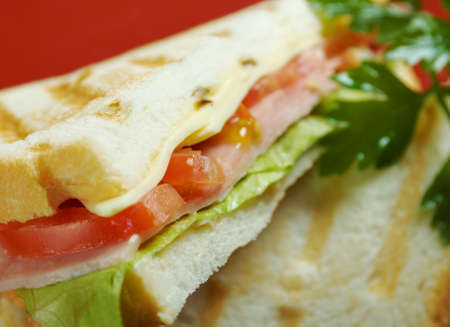  sandwiches with cheese and ham  Studioの写真素材