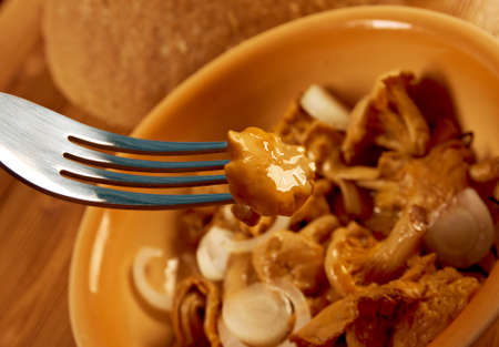 Chanterelle pickled farm-style .close upの写真素材