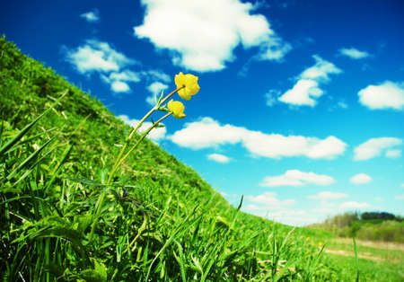 beautiful spring landscape