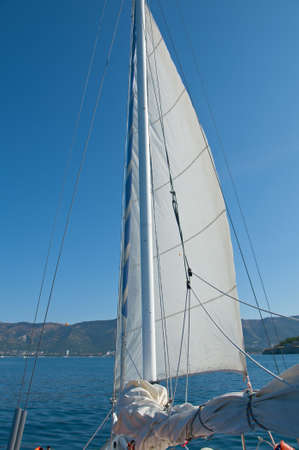 Sailing boat in the seaの写真素材