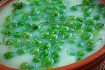 green beans Fozelek - type of thick Hungarian vegetable stew, home-made foodの写真素材