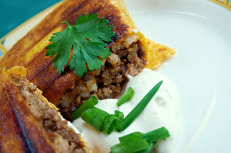 chimichanga with beef and vegetables close upの写真素材