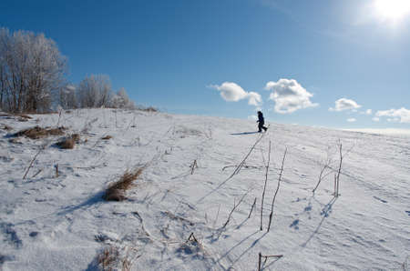 Winter landscape. Little boy playing in the snow