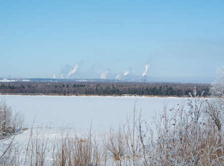 Winter scene .Frozenned flower close upの写真素材
