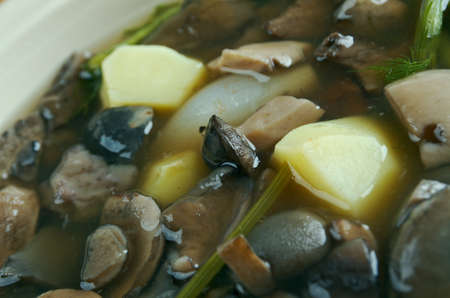 Belarussian traditional mushroom soup.close upの写真素材