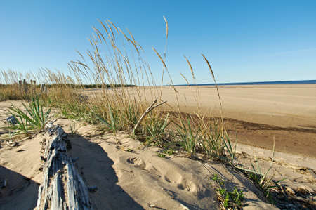 Pomeranian coast .White Sea .Russia, Arkhangelsk region.の写真素材