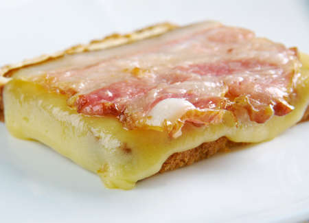 Gerber sandwich -  American sandwichesの写真素材