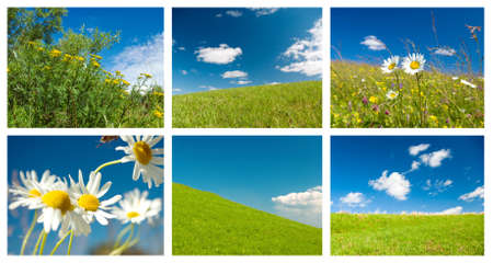 set Beautiful summer backgroundの写真素材