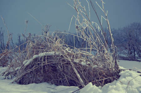 Winter scene . snow-covered fieldclose upの写真素材