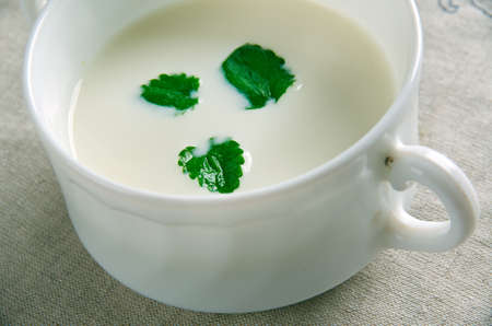 Minty Garlicky Yogurt Sauce.Kyrgyzstan. middle Asia