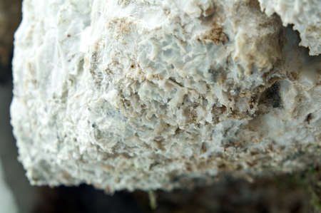 glowing crystals of gypsum.gypsum Karstの写真素材