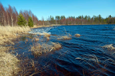 Russian landscape in the spring forest. Spring flooding on the lakeの写真素材