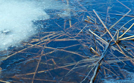 Russian  landscape Arkhangelsk Oblast . spring flooding on the lake,Thin ice on the waterの写真素材