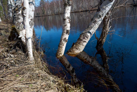 Russian landscape.Spring flooding on the river  Arkhangelsk regionの写真素材