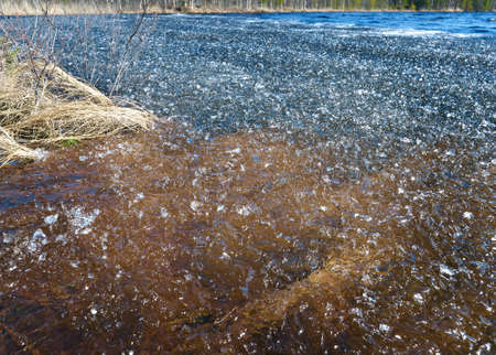 Russian  Spring landscape with flooded.icy slush on the water of the lake. close up
