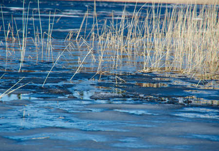 Russian  landscape Arkhangelsk Oblast . spring flooding on the lake,Thin ice on the water
