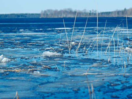 Russian  landscape Arkhangelsk Oblast . spring flooding on the lake,Thin ice on the waterの写真素材