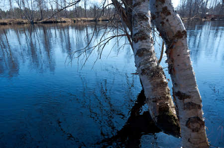 Russian landscape.Spring flooding on the river  Arkhangelsk regionの写真素材