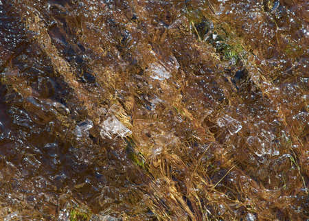 Russian  Spring landscape with flooded.icy slush on the water of the lake. close upの写真素材