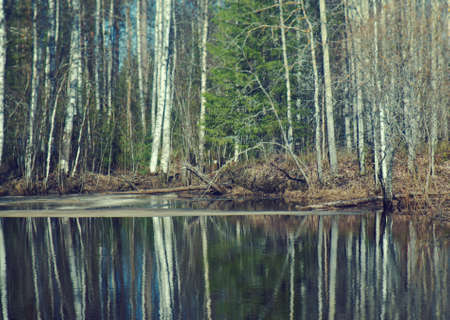 Russian landscape.Spring flooding on the river,Reflection of trees in water.の写真素材