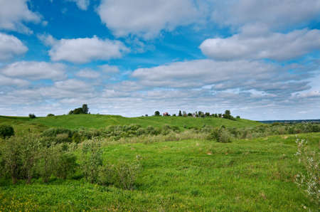 Russian spring meadow with flowers.Arkhangelsk region. Russian North.の写真素材