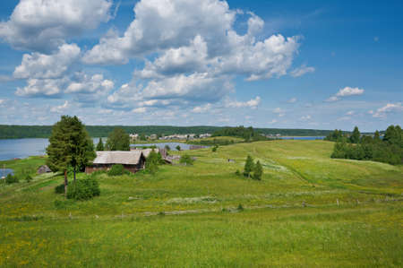 Russian  summer meadow.Arkhangelsk  region, Russiaの写真素材