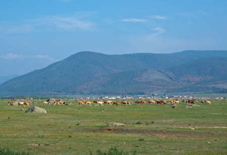Ininsky rock garden,の写真素材