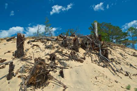Sandy shore of Lake Baikal,Turka villageの写真素材
