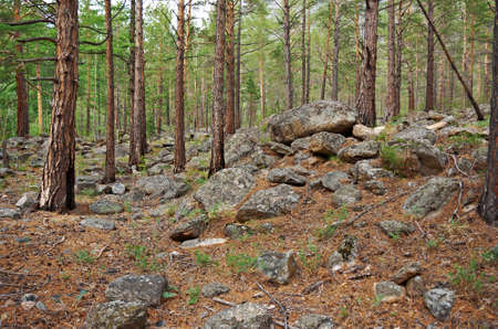 River Valley in canyon kurma .lake Baikalの写真素材