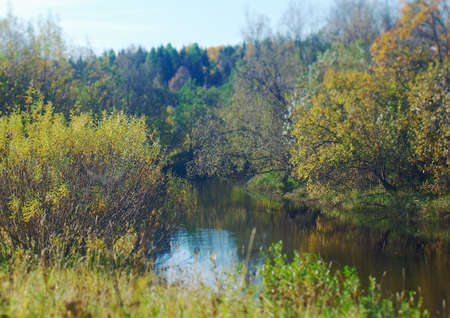 Fall River, reflected in the water autumn trees Shallow depth-of-field. Arkhangelsk region, Russiaの写真素材
