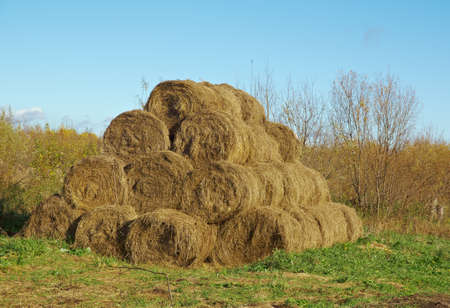 pyramid of hay  .Autumn rural landscape  Arkhangelsk region, Russiaの写真素材