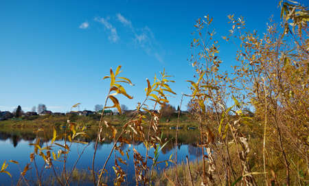 Fall River, reflected in the water autumn trees.  Arkhangelsk region, Russiaの写真素材