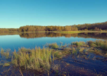 Fall River, reflected in the water autumn trees.  Arkhangelsk region, Russiaの写真素材