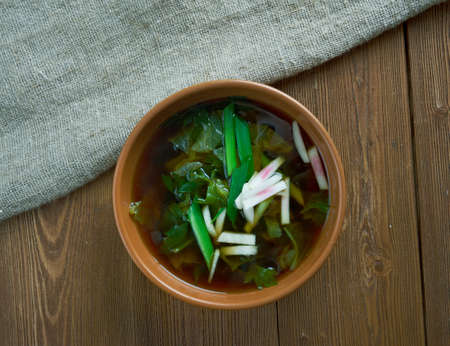 krosheva Grey stchi  Russian cabbage soupの写真素材