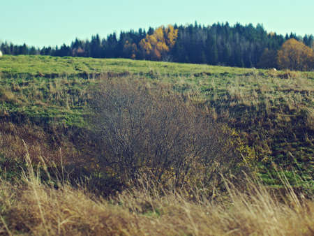 Autumn rural landscape .art rural landscape. Arkhangelsk region, Russiaの写真素材