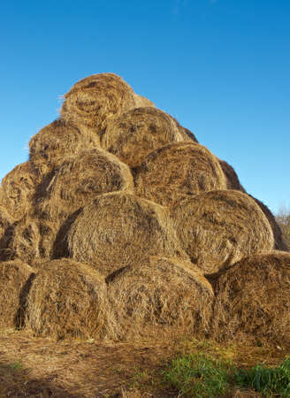 pyramid of hay  .Autumn rural landscape  Arkhangelsk region, Russiaの写真素材