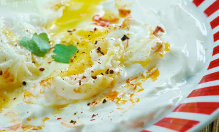 C?lb?r - Turkish dish of poached eggs with yogurtの写真素材