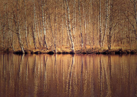 Russian landscape.Spring flooding on the river,Reflection of trees in water.の写真素材