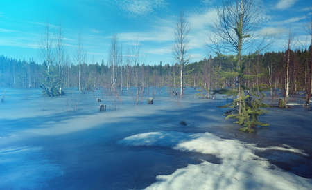 Snowy Russian  landscape in the spring forest.の写真素材