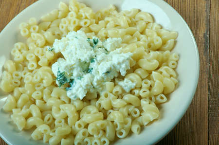 pasta with  goat cheese - Pasta con crema di ricottaの写真素材