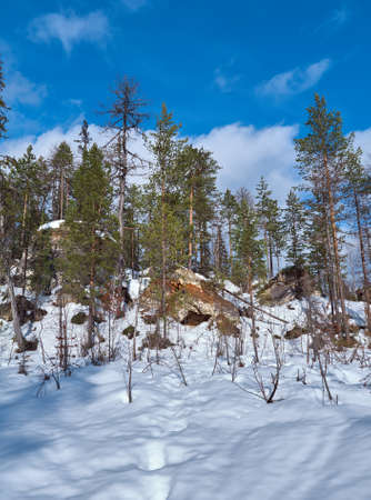 Formations caused by karst  with winter taiga forest. Arhangelsk region. Russiaの写真素材
