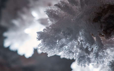 Ice crystals. Cave in the Pinega region .Arhangelsk regionの写真素材