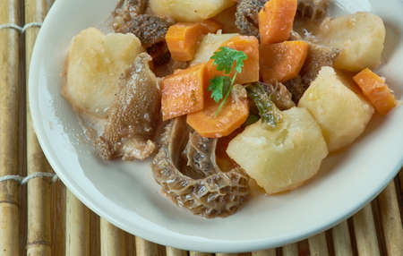 Mondongo  Dominican Tripe Stewの写真素材