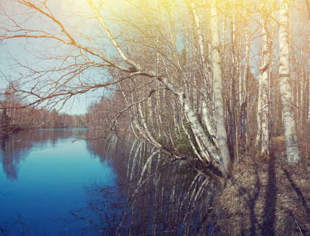 Russian landscape.Spring flooding on the river  Arkhangelsk regionの写真素材