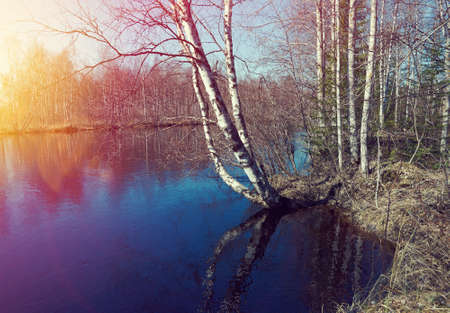 Russian landscape.Spring flooding on the river  Arkhangelsk regionの写真素材