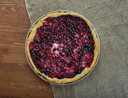 blueberries and cowberry tart. close upの写真素材